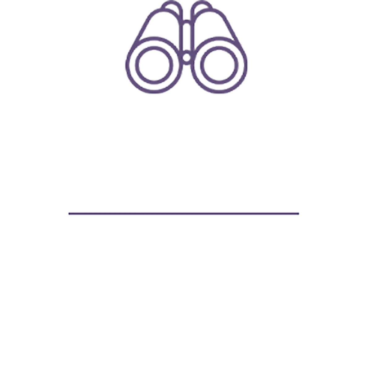 Vista privilegiada do show