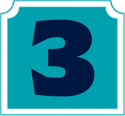 3